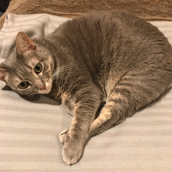 Meet your Posher, Becca. - Picture 4 of 5